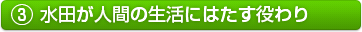3.水田が人間の生活にはたす役わり